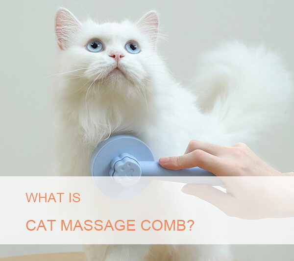 cat massage comb